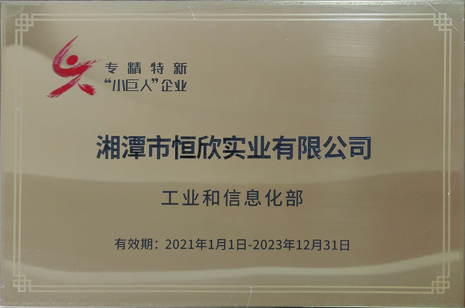 榮獲國(guó)家專精特新“小巨人”稱號(hào) 榮獲國(guó)家專精特新“小巨人”稱號(hào)