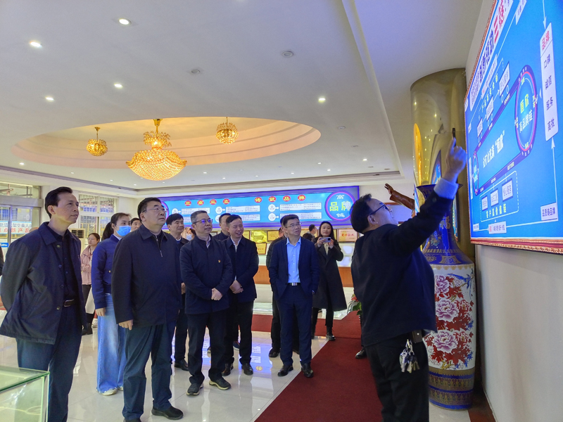 湖南省工信廳副廳長張治平一行蒞臨我司視察工作